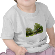 Spitfire Camiseta