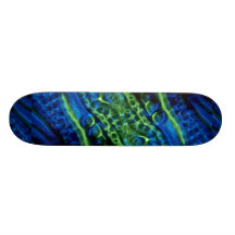Splotchy azulverde tabla de patinar