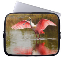 spoonbill fundas portátiles