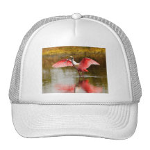 spoonbill gorra