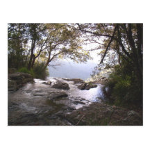 Springbrook Tarjeta Postal