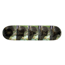 squirrell del bebé patines 
