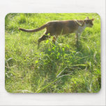 Sr. Cat Mousepad 007 Tapete De Ratón