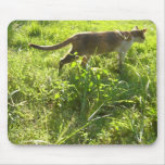 Sr. gato Mousepad 008 Tapetes De Ratones