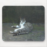Sr. gato Mousepad 013 Tapetes De Ratones