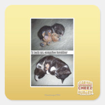 Sr. snuggies forebber del hadz del iz calcomanía cuadradas