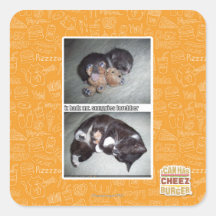 Sr. snuggies forebber del hadz del iz calcomanías cuadradas personalizadas