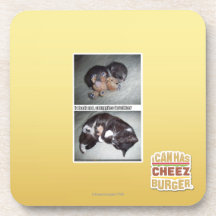 Sr. snuggies forebber del hadz del iz posavaso