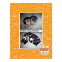Sr. snuggies forebber del hadz del iz postal