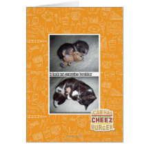 Sr. snuggies forebber del hadz del iz felicitaciones