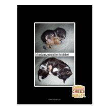 Sr. snuggies forebber del hadz del iz tarjeta postal