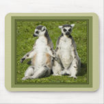 Sr. y señora Lemur Alfombrillas De Ratones