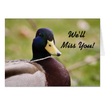 Srta. You Duck Card Tarjetas