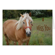 Srta. You Horse Greeting Crad Felicitacion