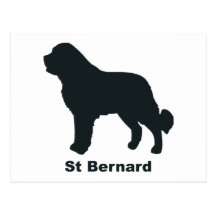 St Bernard Postales