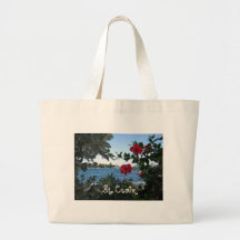 St. Croix, V.I. Bolsas