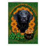 St Patricks - mina de oro - Labrador - negro - ind Felicitación