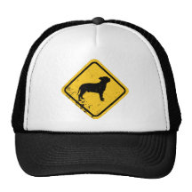 Staffordshire bull terrier gorras