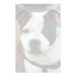 Staffordshire bull terrier inmóvil papelería personalizada