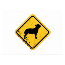 Staffordshire bull terrier postal
