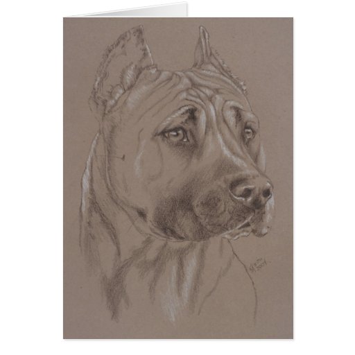 Staffordshire Terrier americano Felicitacion