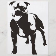 Staffy Flyer A Todo Color