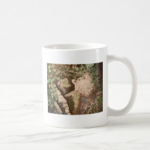 Stan Levine tazas y Steins "del matorral"