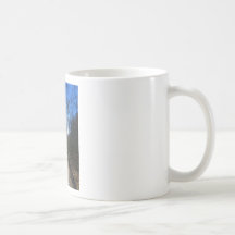 star2 tazas