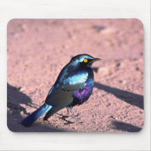 Starling brillante Azul-Espigado Alfombrilla De Ratón