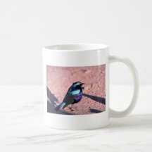 Starling brillante Azul-Espigado Tazas De Café