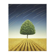 Startrail y árbol impresión en lona