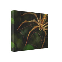 Steampunk - insecto - autómatas de Arachnia Impresiones De Lienzo