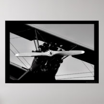 Stearman Kadet Poster