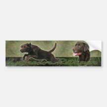 Sticke del parachoque del collage del labrador ret etiqueta de parachoque