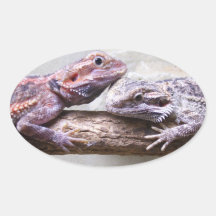 Sticker Bartagamen