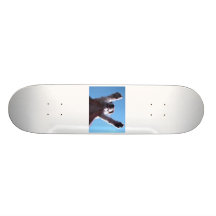 StoutSky Monopatin Personalizado