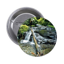 Streambed, parque nacional de Fiordland, isla del  Pins