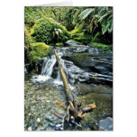 Streambed, parque nacional de Fiordland, isla del  Felicitación