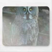 Strix Nebulosa Lapponi Tapete De Ratón