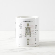 StudyThem deshuesa… Tazas De Café