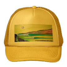 STUFFSURFERSLIKE.COM - Gorra de Mysto de Reid