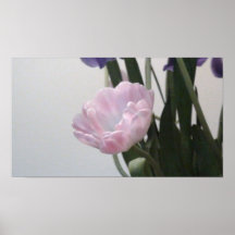 Su apenas un tulipán poster