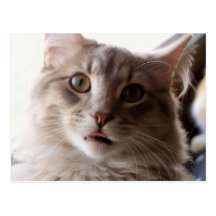 su cara para el pegatina postal