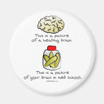 Su cerebro en escuela del MED Imán Para Frigorifico