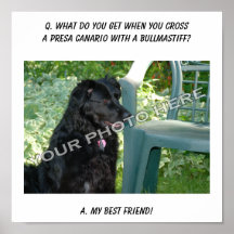 ¡Su foto aquí! Mi mezcla de Presa Canario del mejo Poster