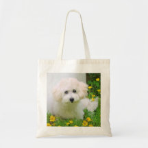 Su foto en una bolsa de asas