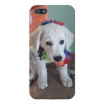 Su mascota en un caso del iphone de Photousa iPhone 5 Fundas