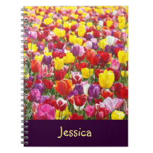 Su tulipán conocido de los cuadernos florece la pr