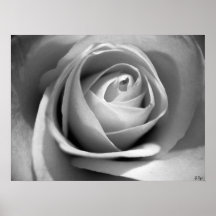 Suavemente blanco, S Cyr Poster