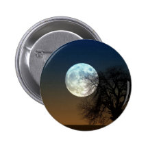 Subida de la luna pins